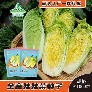 ���޲˷N��С�ײ˷N���S���������޲��������S��ײ˴����ļ��ļ�