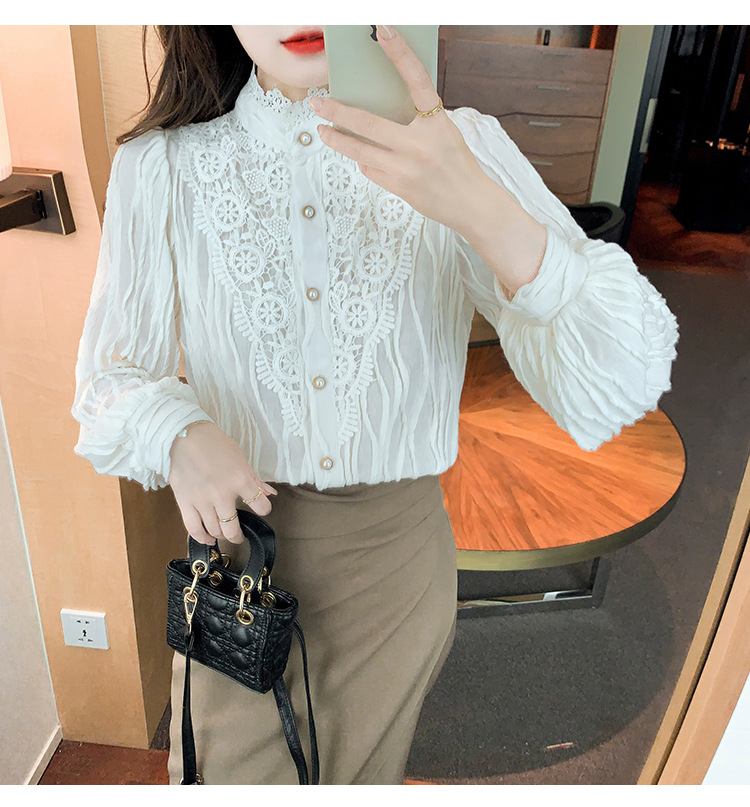 2022 Autumn/Winter new style fleece high-neck lace shirt chiffon shirt top, elegant base layer, fairy pic 18