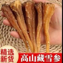 高山【藏雪参】云南边境山货高原藏血参雪人参藏