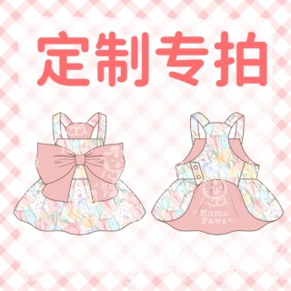 打样打板宠物衣服定制专拍 跨境Customized Pet Clothing Dog