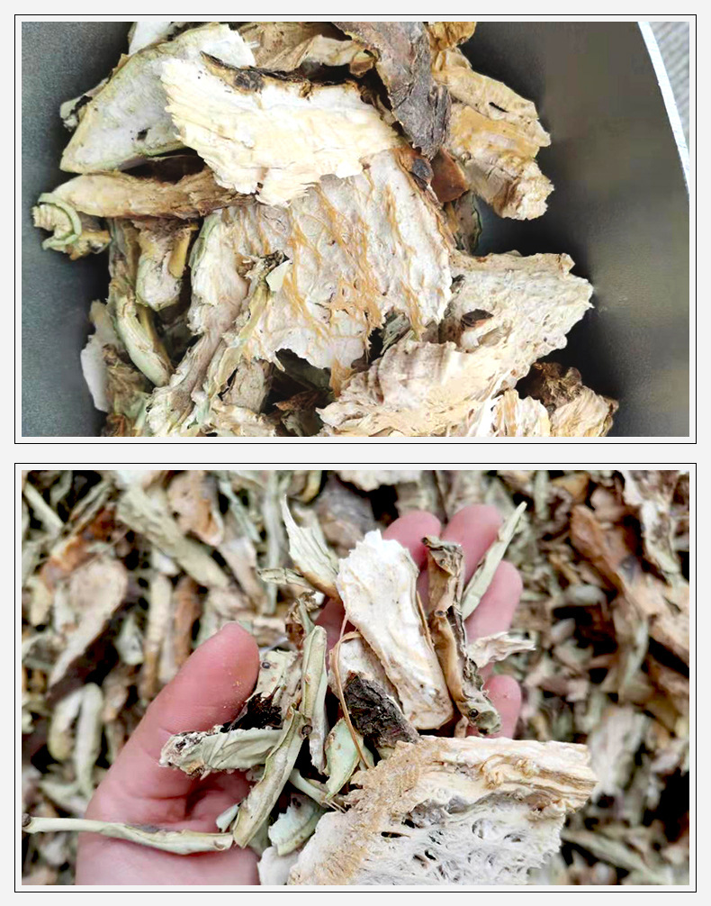 Dried Cactus Slices Xian Zhang Ba Opuntia Dillenii Peeled Culinary Herb Bulk Supply quality and texture