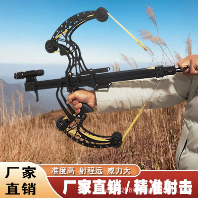 Canglong 새로운 50 스틸 볼 복합 활 고정밀 활 야외 촬영 새총 성인