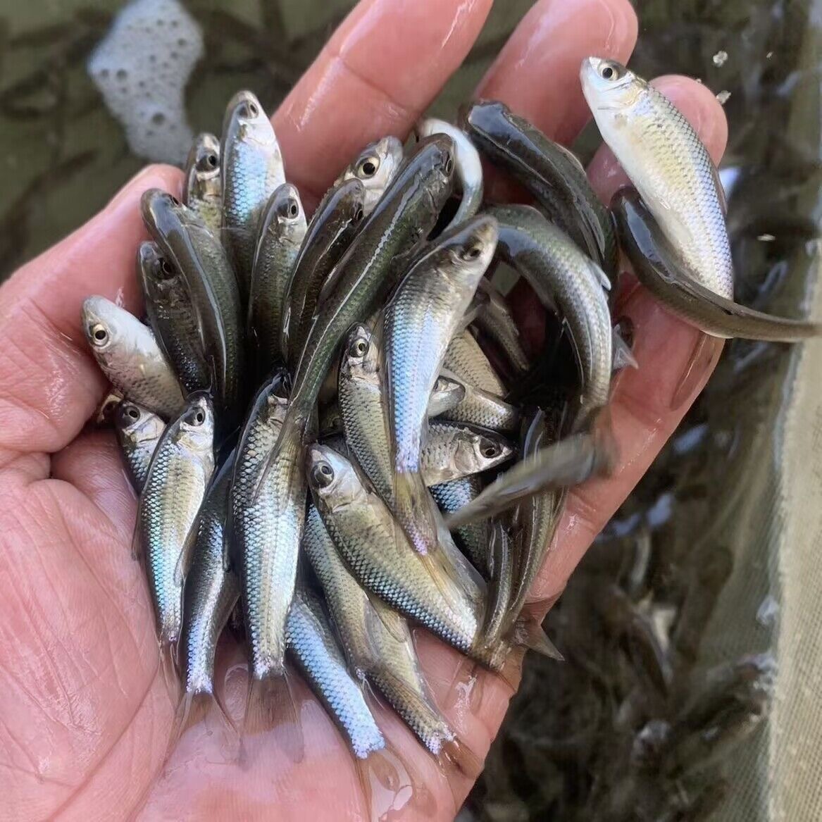 微信图片_20250620092435