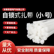 ��������100�l���b��ȼ�͸ߜض�Ҏ�����iʽ�ڰ�ɫ����������