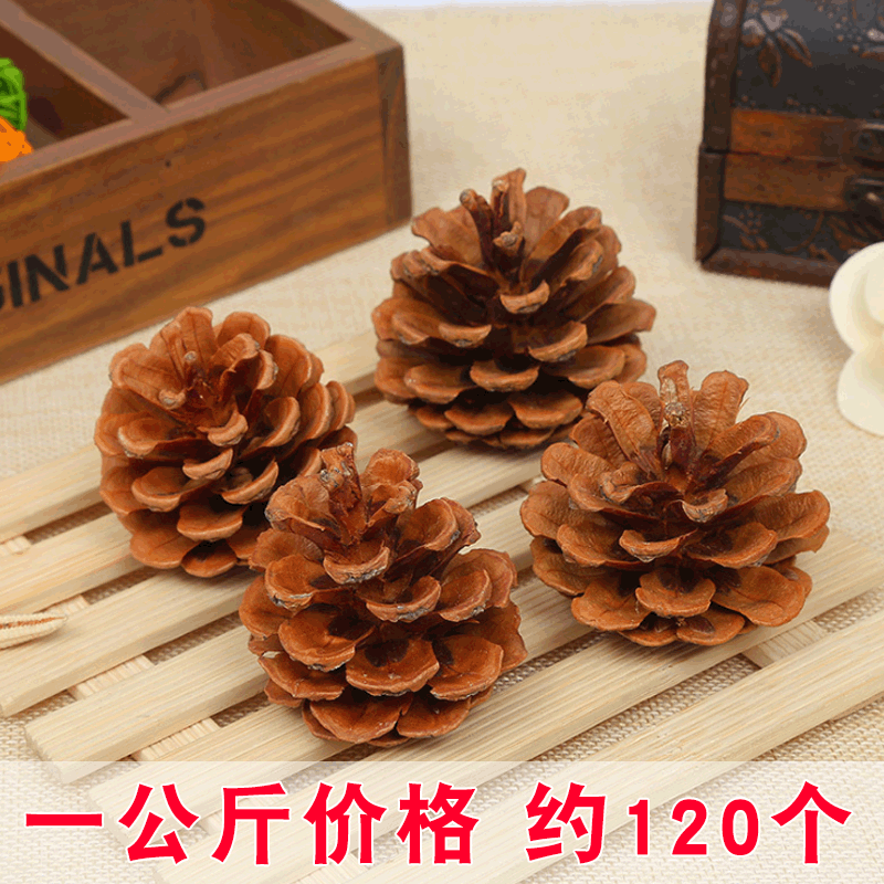 Oil Pine Photo Props Kindergarten Handmade Materials Christmas Pine Cones Dried Flowers Pendant Decorative Ornaments Creative Handmade