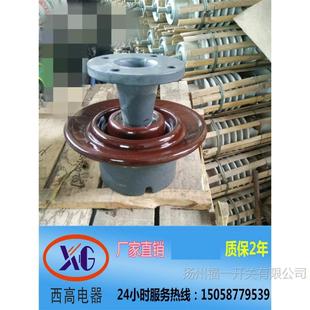 Fuyi 10KV outdoor pin type ceramic insulator ZPD-10 unit price