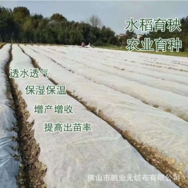 纺粘无纺布;其他无纺布