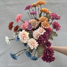 ���滨��������5�^б�y�����ռٻ��[���b������滨�߼��б���