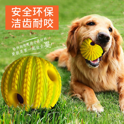 狗狗玩具球磨牙洁齿互动大型犬幼犬耐咬解闷发声球自嗨训练玩具|ru