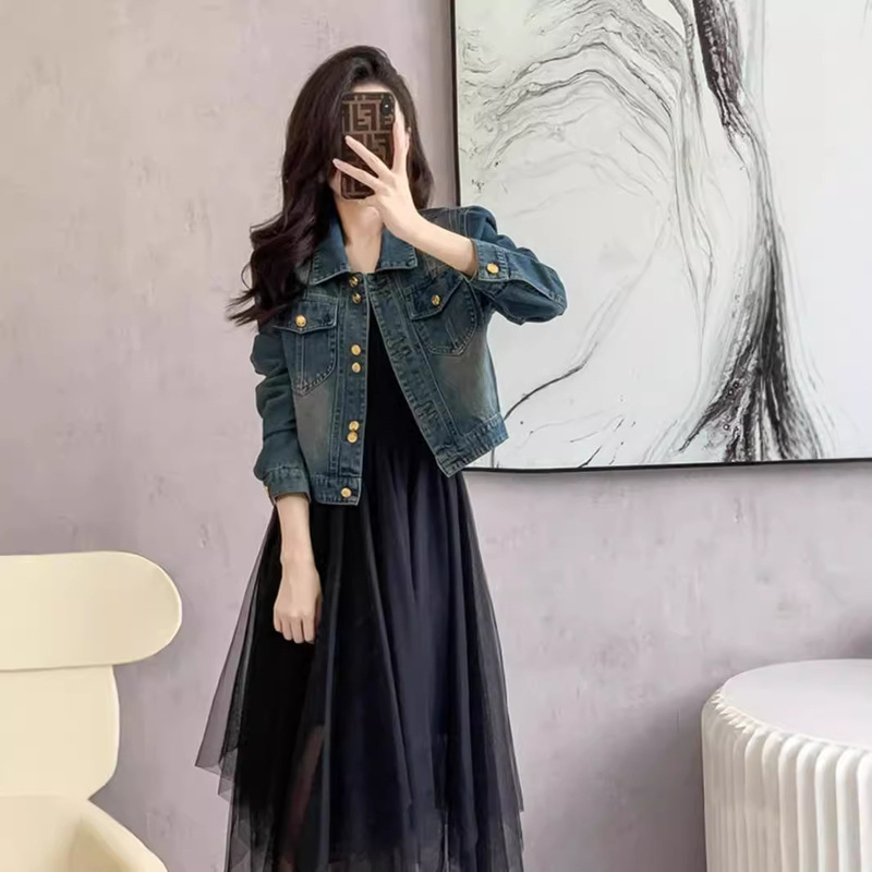 Early Autumn Denim Jacket Women's Korean 2024 New Slim-fit Retro Long-sleeved Short Jacket Fashionable Internet Trendy Top