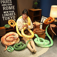 ��������߹��� ���M���ë�q����� �ɐ��S������ ���؇�����ż