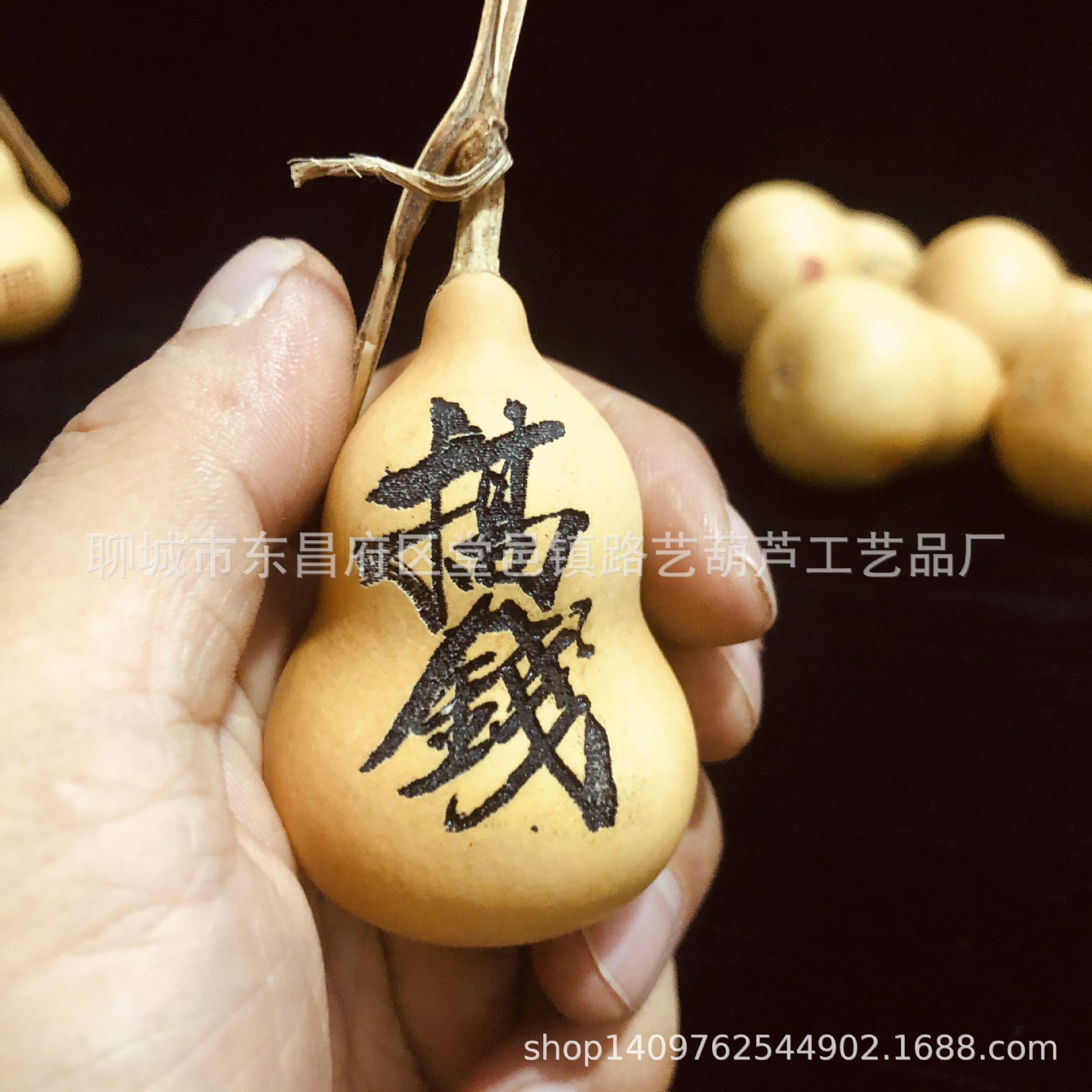 QQ图片20230930182149