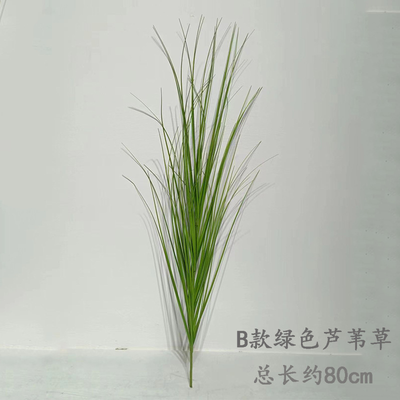 Tipo B verde caña hierba 5 ramas