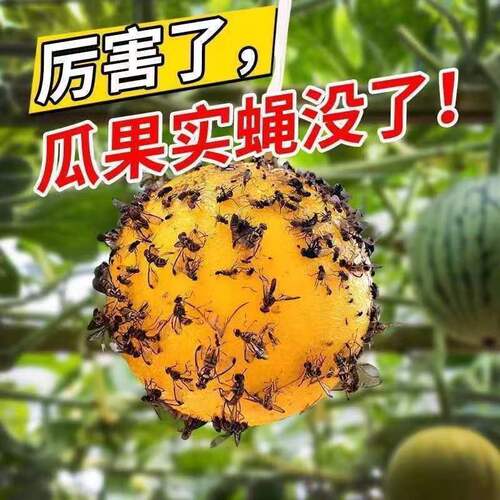 Fruit tree fly bait Citrus fruit fly Oriental fruit fly Melon fly Stink bug bait Insect trap Pin honey bee Melon fruit fly