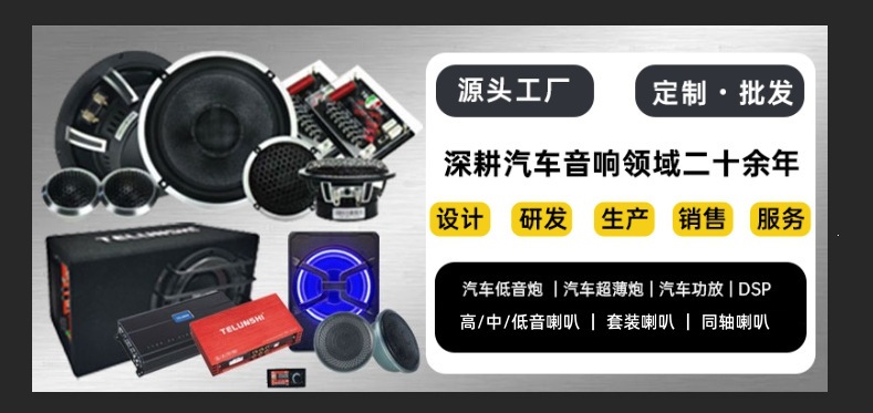 10inch Car ultra-thin subwoofer active in-car subwoofer under-seat installation audio upgrade wholesale