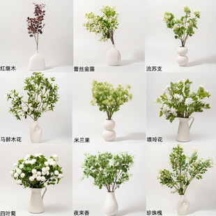 �羳���滨 �Ҿ��L�zӰ��c�Ƶ�廨�bٻ��ҾӲ͏d�[���b�