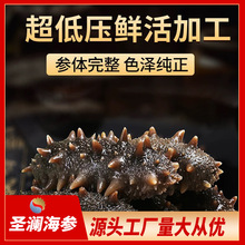 oӃɺ B|ɹˇ |oݰlʸߠIBհb