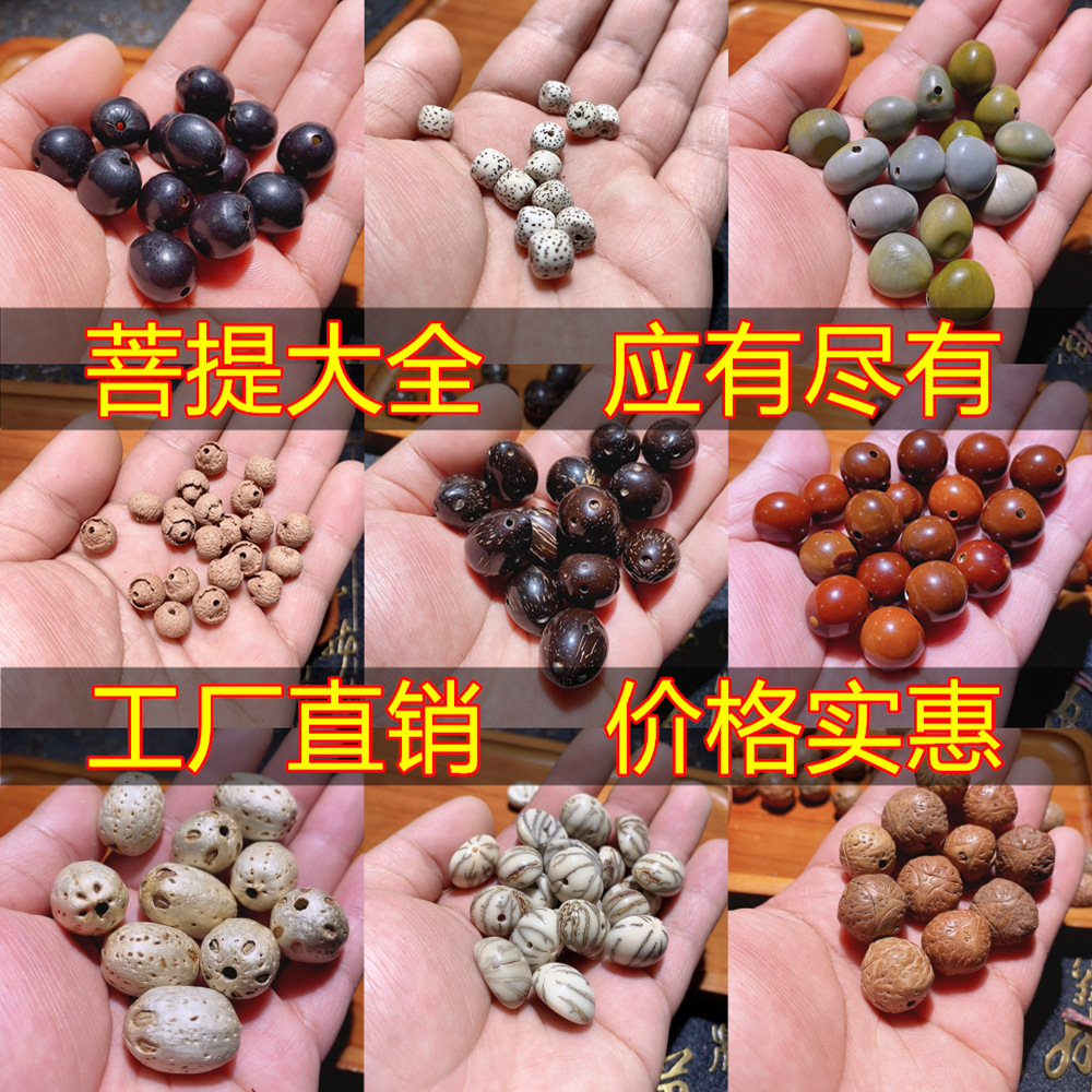 天然菩提散珠DIY十八籽配件配珠龙凤眼金刚无患籽已打孔厂家批发
