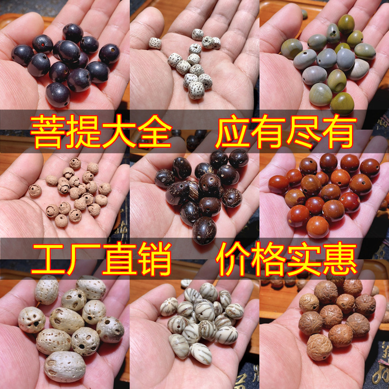 Natural Bodhi Loose Beads DIY Eighteen Seed Accessories with Beads Dragon and Phoenix Eye Vajra Seed Seeds Punched Manufacturer Wholesale