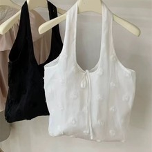 2025Ӣmͬnÿw佉μͨڲ