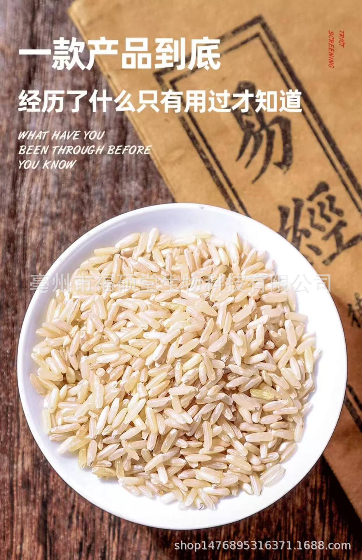 Japonica Rice (Oryza sativa) — Dried Food Grain for Congee & Daily Nourishment in use