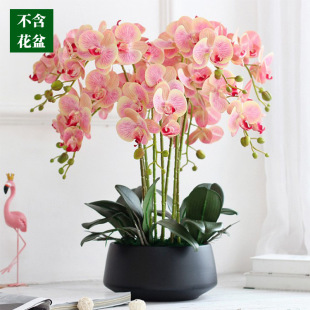 �����m���滨�߼��ָ��m���[�Ż��ܿ͏d�������P��c�b�ˇ�[��
