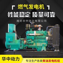 天燃气50kw发电机组供应小型燃气发电机组 燃气机组厂家