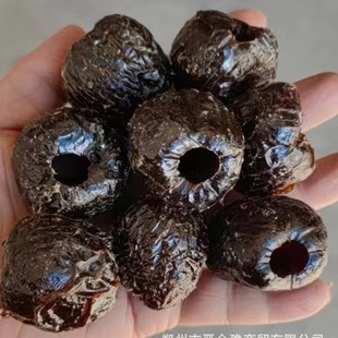 �������l�o�˽�z���ۗ�����W�������ո�굸���Ŵ��ܿ�����l