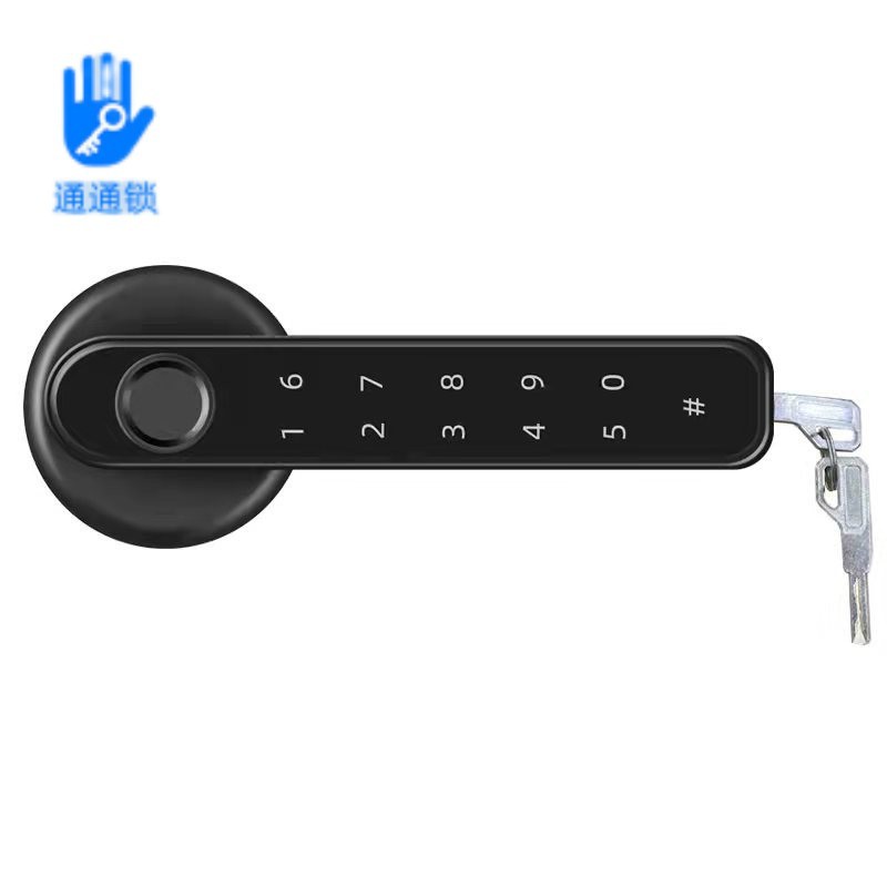 Tarjeta TT196-Black-fingerprint-password-IC-Aplicación Móvil tongtong