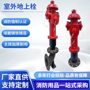 �ϰ��������˨����˨SS100/65��ײ˨SSF100/65����˨,�{������˨