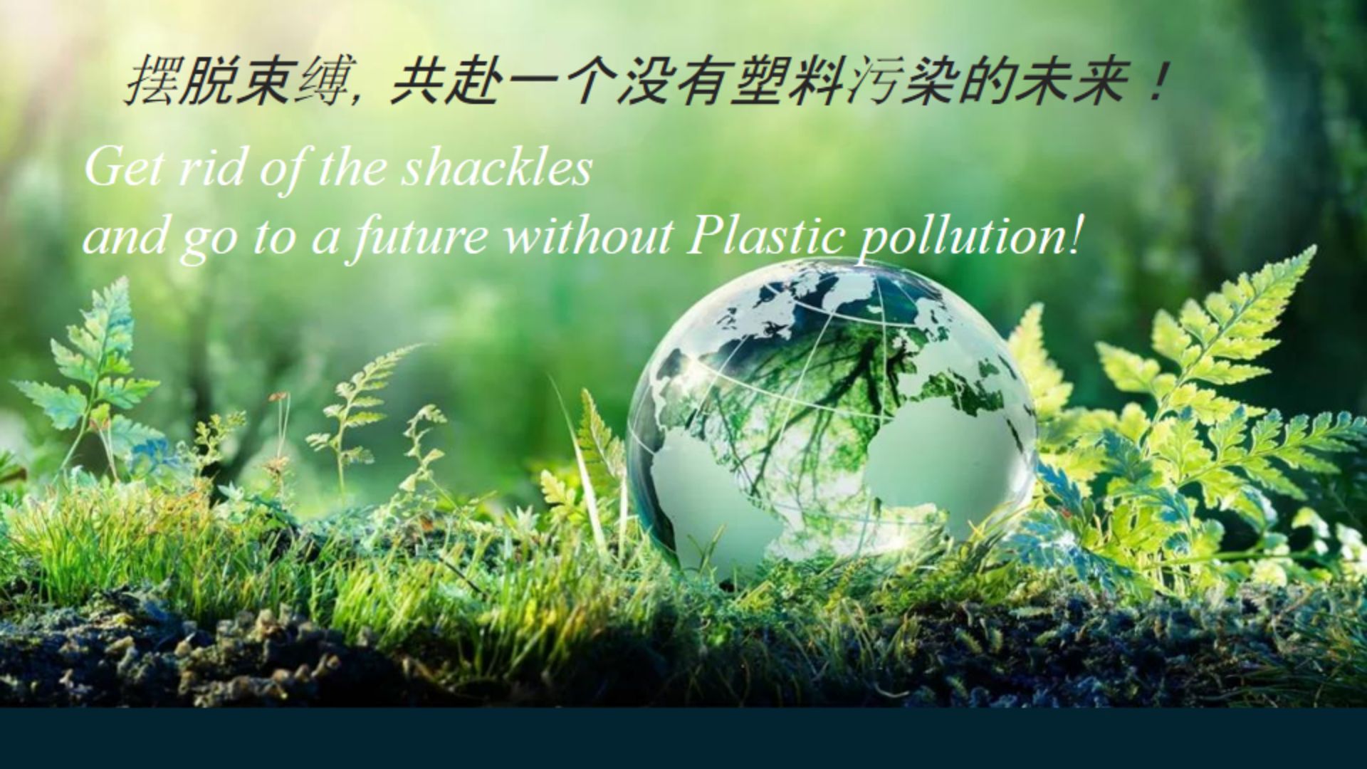 美苏尼龙:碳足迹文档2023--中英同++++_20