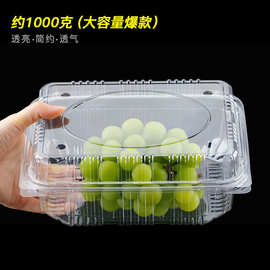 批发水果打包盒一次性水果塑料盒食品级PET材质多规格透明包装盒
