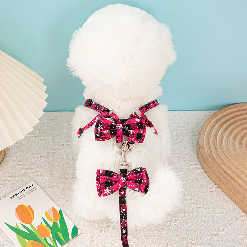 눈송이 가슴과 등 핑크