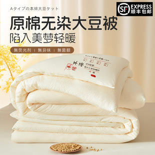 Class a Raw Cotton Soybean Fiber Quilt Bedding Spring and Autumn Thickened Warm Winter Quilt Single and Double Quilt Core Wholesale