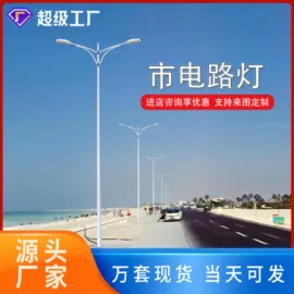 太阳能灯;庭院灯;道路照明灯