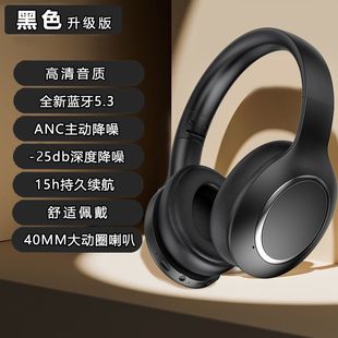 P6066���ӽ����^��ʽ���C�o���{����������ANC���L�m���{��5.3