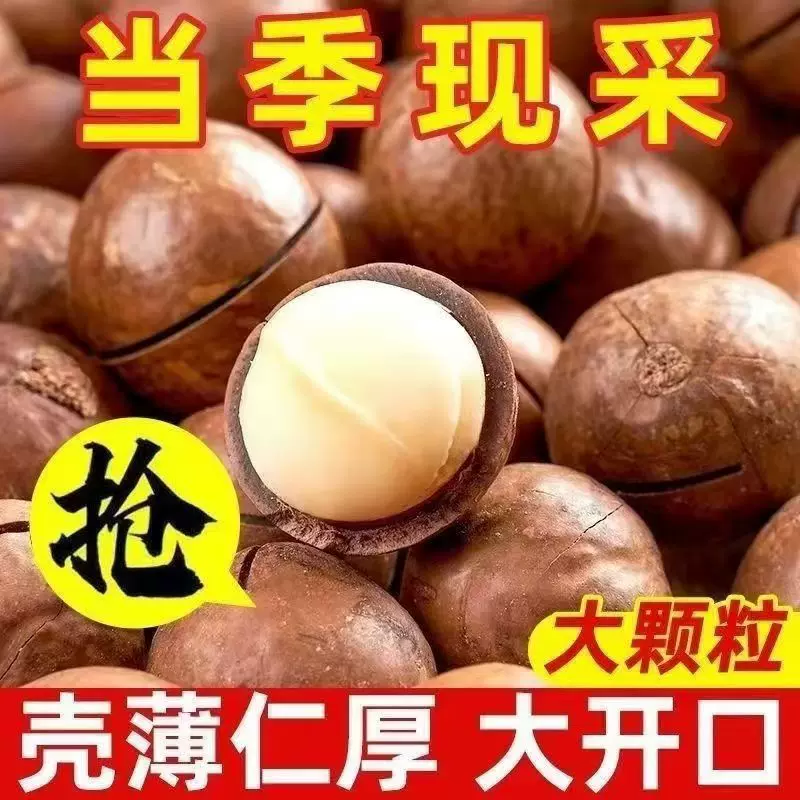 夏威夷果坚果奶香奶油味新货健康孕干果仁最大果夏威夷果