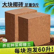 ��KҬ�u�I�B���B��ͨ����Ҭ��Ҭ�����N�˴�Ҭ��Ү�u�����Nֲ