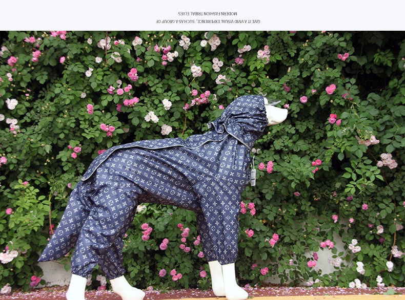 7cb95d82-d7b4-4719-a478-b7395c92a173.jpe