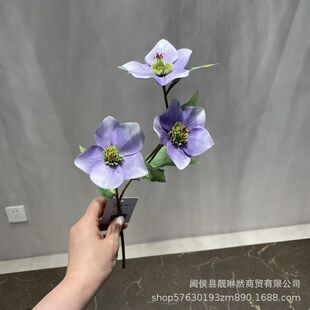 ���Sֱ�N�����˿� �F�����p⏲� ��ˇ�OӋ ܛ�b�ҾӔ[�� �Ĕz����