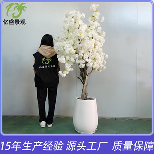 �羳���Q���挍ľ�ѻ����辰 �͏d��Y����٘� �����ѻ�������
