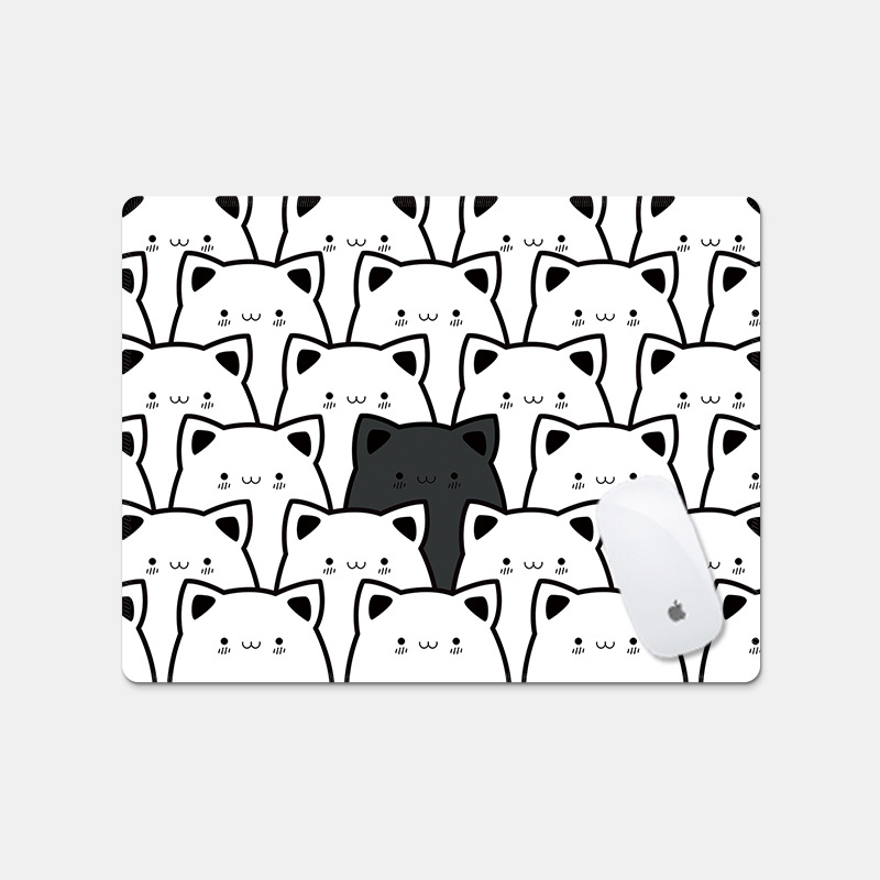 흰색 쌓인 고양이