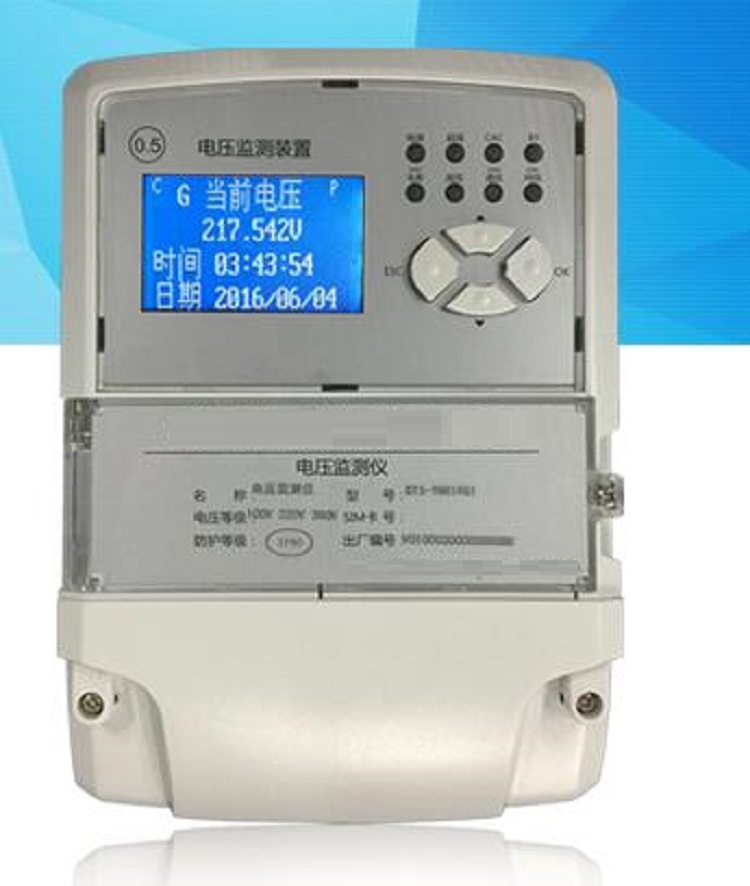 电压监测仪 型号ZSYGNY  库号M397786