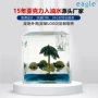 亚克力入油定制展示装饰品