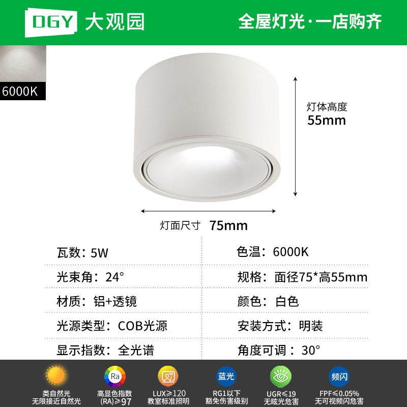 Da Guan Jardín luz de reflector anti-deslumbramiento colina sala de estar sin luz principal luz de techo downlight led corredor luz de techo 495L image 10