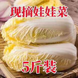 5����ϸ�ɽ���޲����r�F������С�ײ��S�����޲˸�ԭ¶���߲�