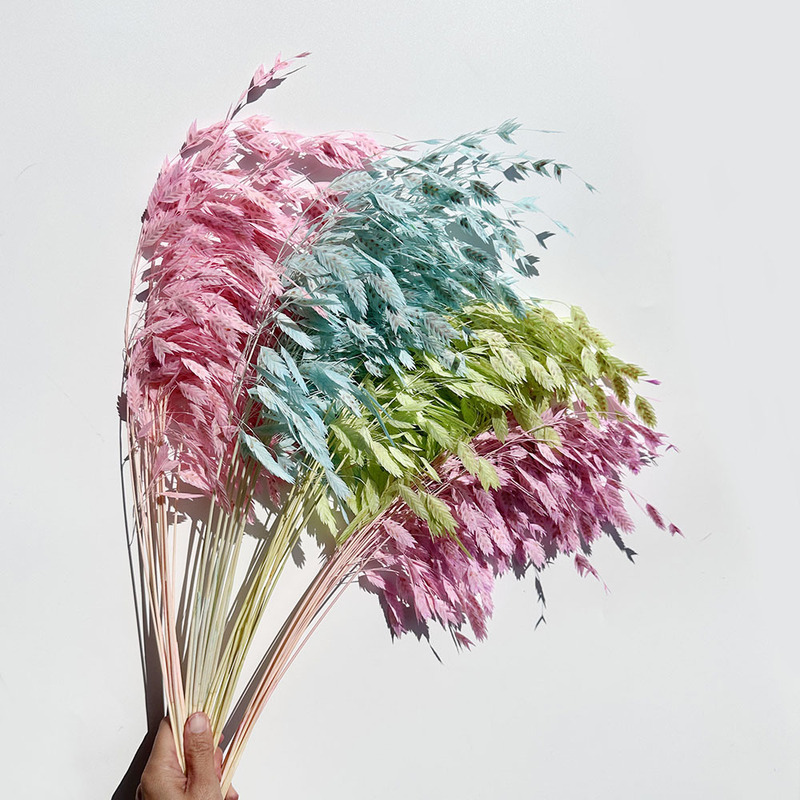 [Yongsheng flower small pancao] flexible small pancao Yongsheng flower dried flower bouquet living room decoration photo