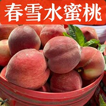 ��ѩˮ�������rˮ���Fժ�F�l�������ЋD����ë������5������