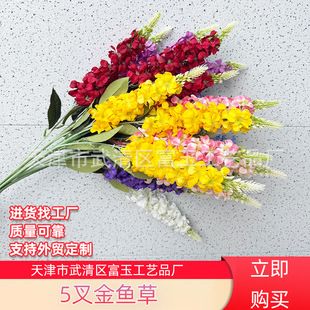 5����~���w��ݻ��Ĵ������ȸ������С�仨�ػ���ˇ�Į��I��