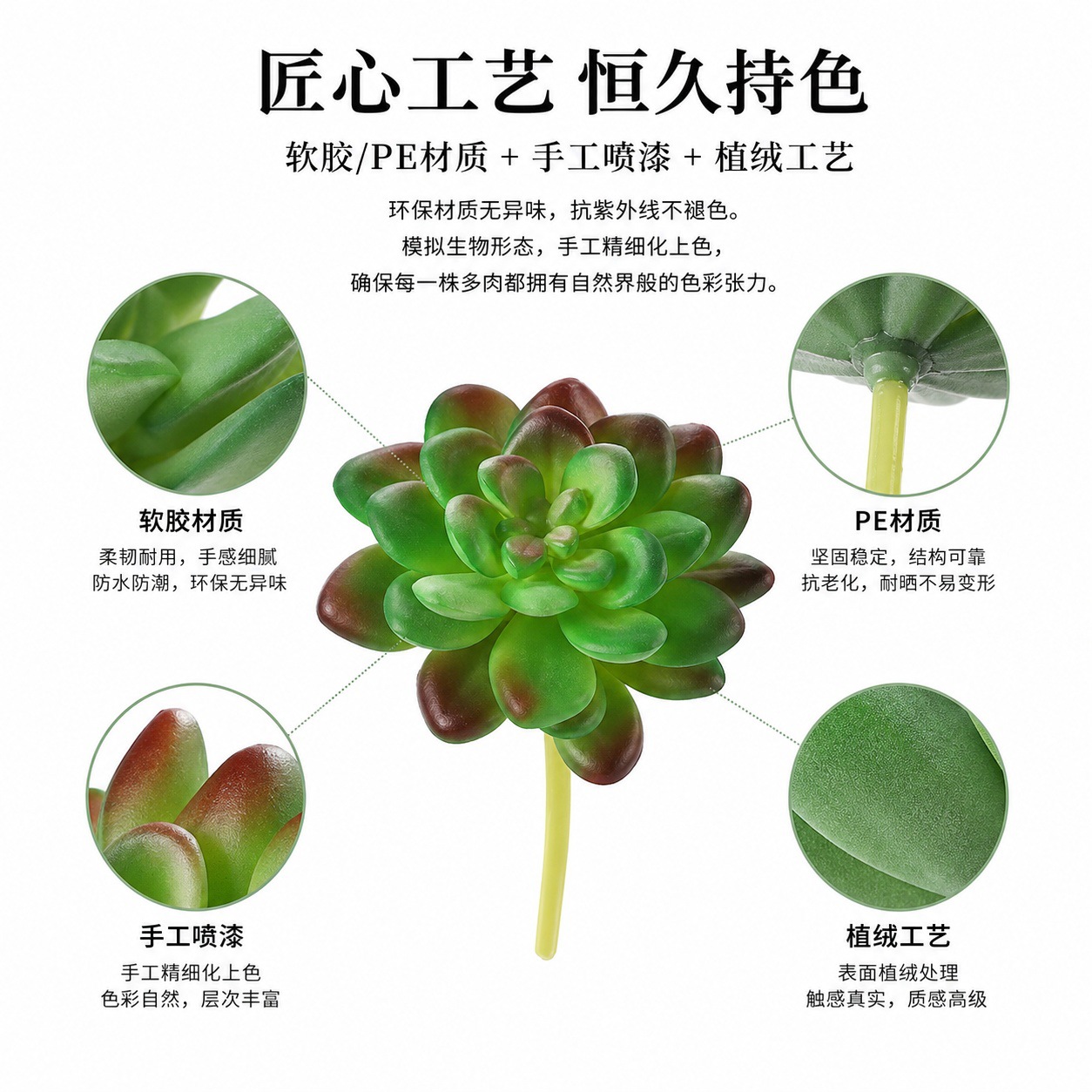 6101多肉详情页 (5).jpg